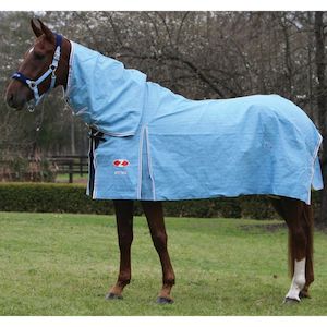 Zilco Hamilton Combo Rug