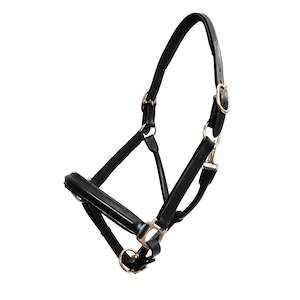 Halters And Lead Ropes: Platinum Leather Show Halter
