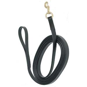 Halters And Lead Ropes: Swimming Lead