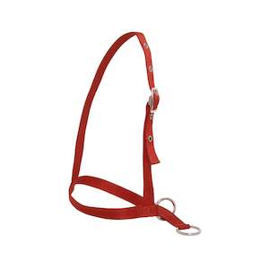 Leading style Calf Halter