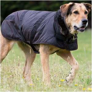 For The Dog: Outback Clancy Oilskin Dog Coat