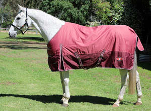 Zilco Explorer 200 Winter Rug