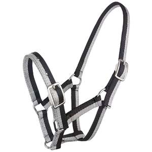 Sparkle Foal Halter