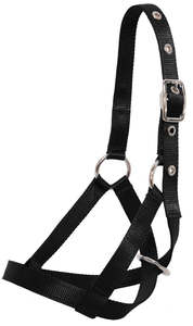 Halters And Lead Ropes: Flair Tethering Calf Halter