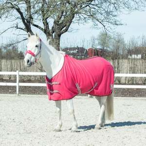The Yard Sale Oddments Orphans And Other Stragglers: Horze Kids and Ponies Fleece Rug