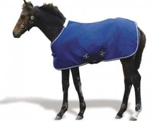 The Yard Sale Oddments Orphans And Other Stragglers: Weatherbeeta Landa Foal Rug