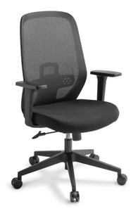 Products: Note Mesh Chair