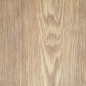 Tawny Chestnut | 5537