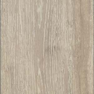 Boulder Oak | 5542