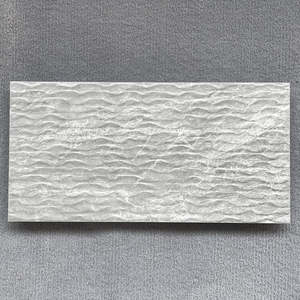 300x600: 300×600 Wall Tiles – TH5621