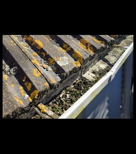 Gutter Cleaning