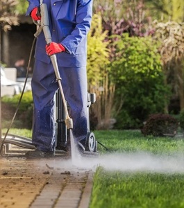 Deck Cleaning