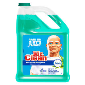 Products: Mr. Clean Liquid Multi-Purpose Cleaner