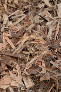 Products: Mulch Clearwater Firewood