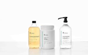 Health & Beauty: CLEANZ Laundry Kit