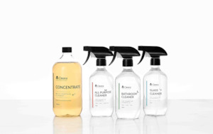 Health & Beauty: CLEANZ Standard Kit