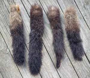 Possum Pam: Possum Tail Pet Toy