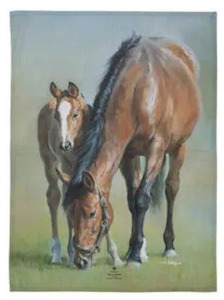 Mares and Foals 2 Pk Kitchen Towels