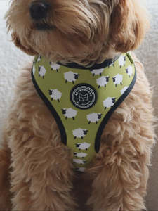 Seven Foxes: Neoprene Harness in 2 Designs