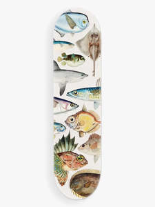 Mens Gift: Fishes of NZ Skateboard Deck