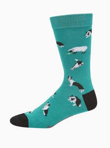 Mens Gift: Mens Border Collie Socks