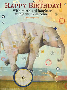 Happy Birthday Wrinkles