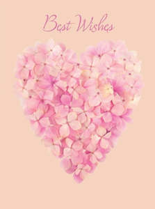 Petal & Pins Best Wishes Heart Card