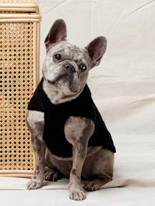 Pets: Weave Knit Sweater in 5 colours