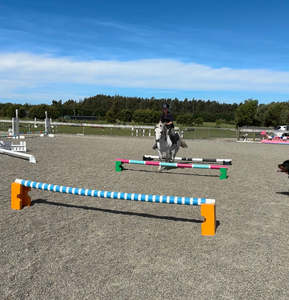 Arena: Pole Raisers