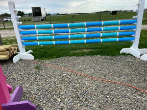 Show Jump Stands (pair)