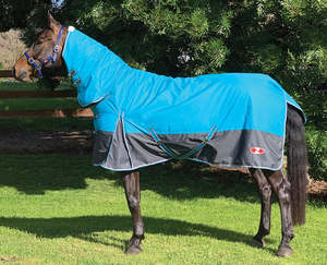 Winter Rugs: Combo explorer 100