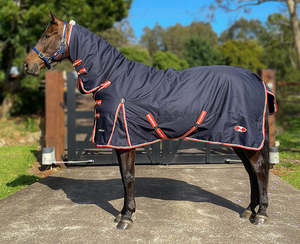 Winter Rugs: Combo zilco pioneer