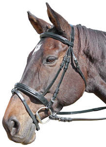 CAVALLINO RAISED & PADDED BRIDLE
