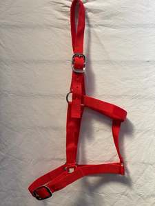 Halters Leads: Red Halter