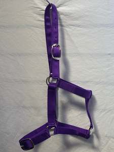 Purple Halter