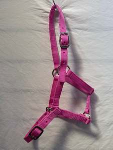 Pink Halter