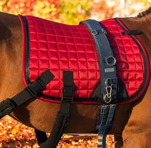 Saddlecloths Pads: Polyester Training saddle pad