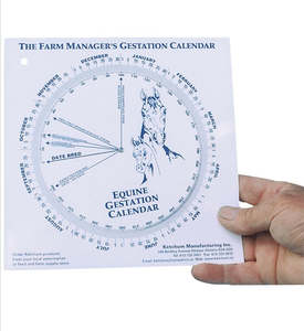 Mare gestation calendar