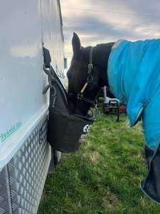 Feeding: Hungry Horse Holster, Bucket bag