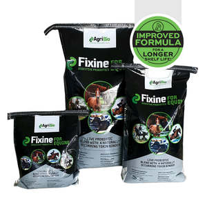 Fixine - Digestive Probiotics