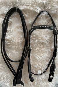 Western: Western bridle