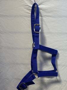 Royal Blue Halter