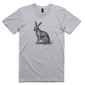 Products: Hare