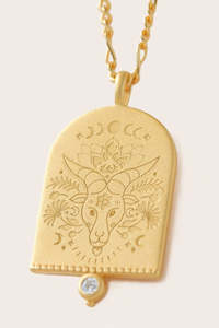 New Zodiac Necklaces: Capricorn Zodiac Necklace - Gold