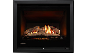 Gas Fires: Rinnai Ember 600 Gas Fire