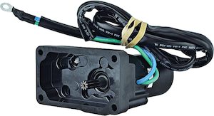 Marine Trim Motor: Marine Trim Motor for 15HP Yamaha F15CELH, F15CMLH, F15CESH