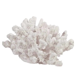 Products: Coral - Decorative - A - Coastal At Home