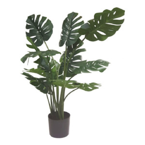Faux Plants: Faux Potted Monstera Plant - 1.1 Metres Tall
