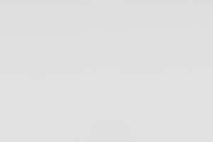 Nz Radiata Pine: White Paint