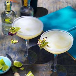 The Daiquiri Cocktail Box